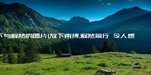放下与释然的图片(放下束缚，释然前行 令人感到宽慰的自我成长图集)
